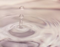 Germal Plus / Гермаль Плюс консервант